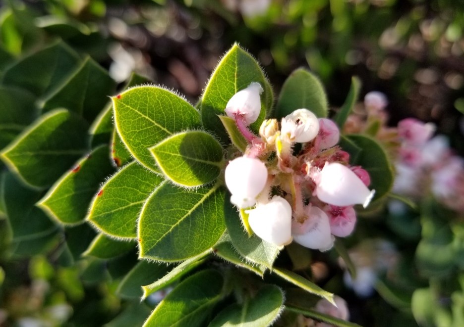 Scenic mountain landscape
